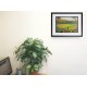 Parkhead Stadium Fine Art Print - Celtic FC